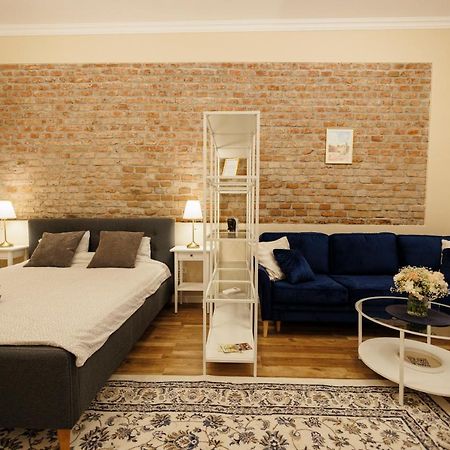 Jolie Flat In The Heart Of The City Timisoara Exterior foto