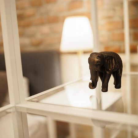 Jolie Flat In The Heart Of The City Timisoara Exterior foto