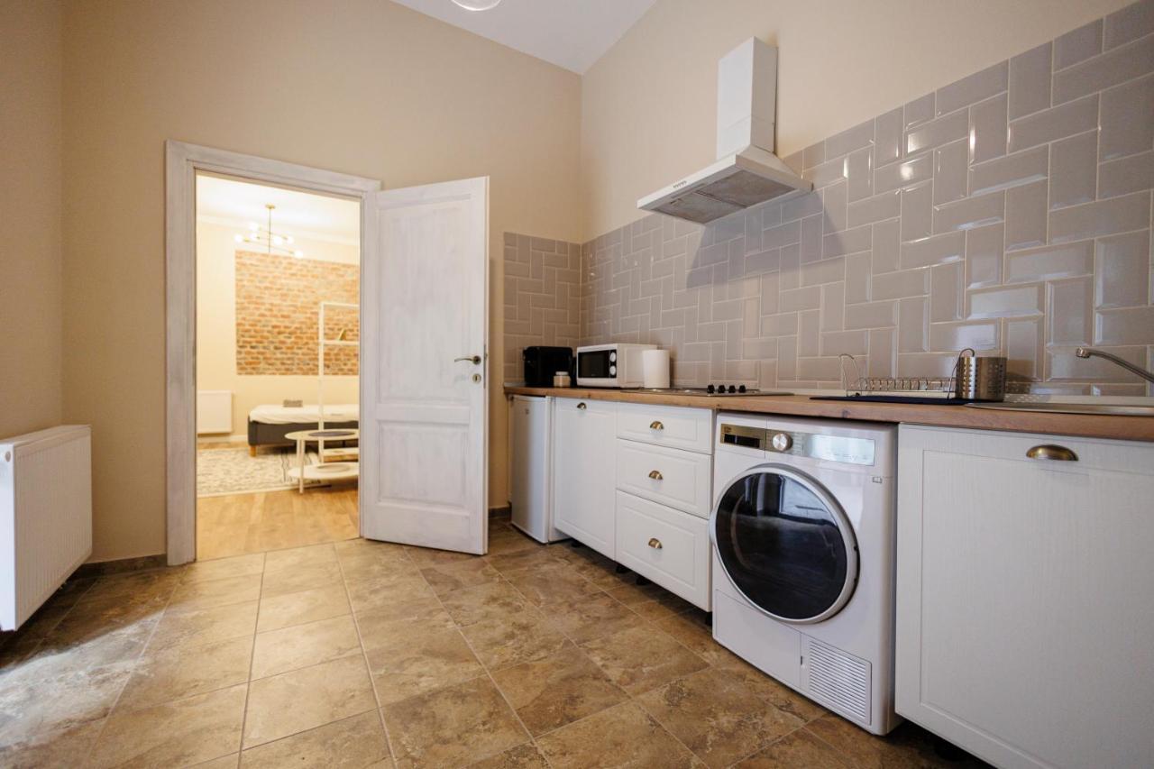 Jolie Flat In The Heart Of The City Timisoara Exterior foto