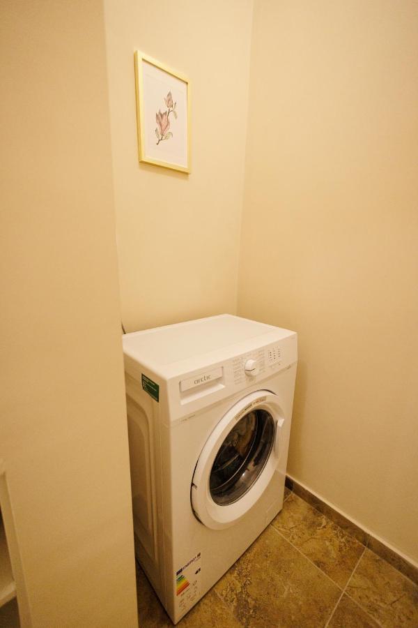Jolie Flat In The Heart Of The City Timisoara Exterior foto