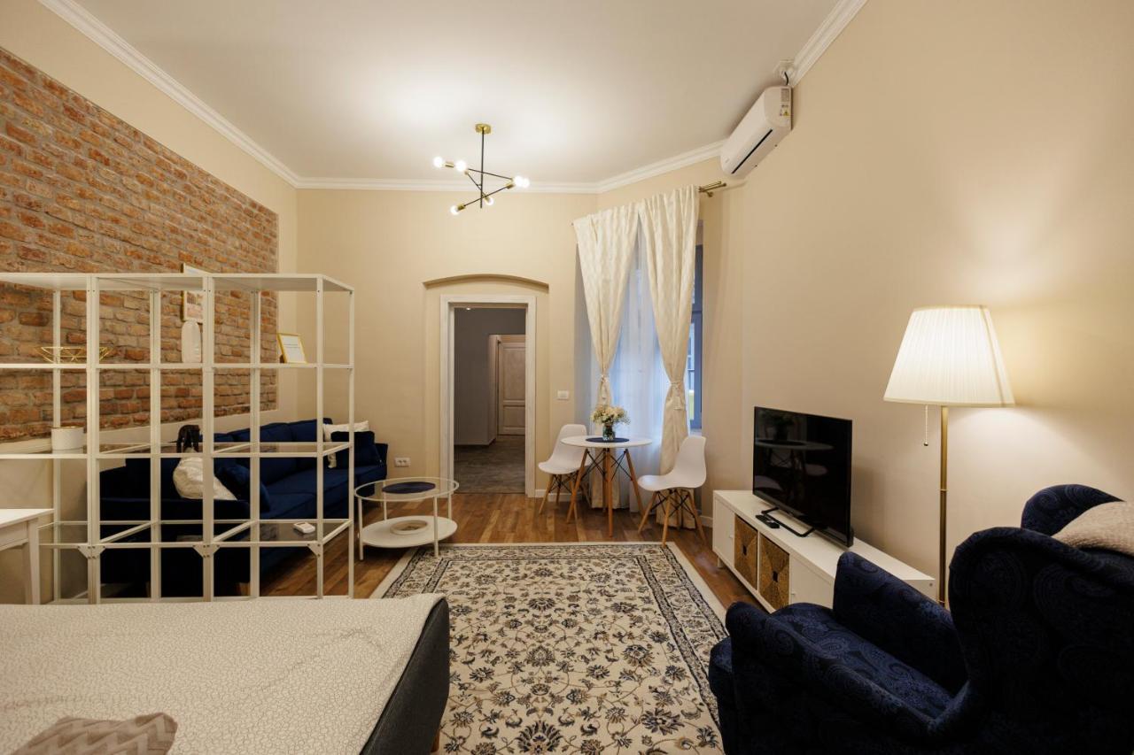 Jolie Flat In The Heart Of The City Timisoara Exterior foto